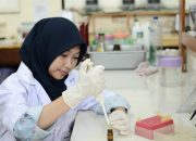 Tiga Laboratorium IPB Siap Uji PCR Covid – 19