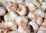 Kementan Pastikan Pasokan Bawang Putih Selama Covid-19 Aman