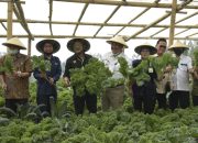 Mentan Syahrul Dorong Sayuran Organik dari Petani Milenial