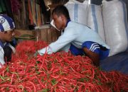 Stabilkan Harga Cabai, Kementan Minta Petani Terapkan 10 Jurus Ini