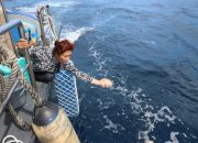 Susi Pudjiastuti: Ada Kartel Besar yang Menguasai Sumber Laut Indonesia