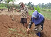 HKTI: Parameter Tingkat Kesejahteraan Petani Harus Diganti