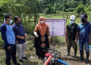 Antisipasi Dampak Kemarau di Sumatera, Kementan Siapkan Sejumlah Strategi