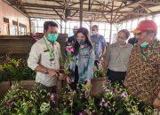 Tingkatkan Budidaya Anggrek, Mentan Dorong Perusahaan Eka Karya Flora Buka Akses Pasar Secara Luas