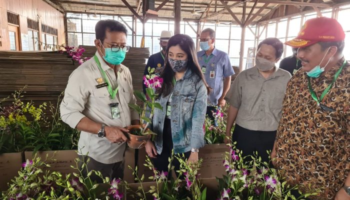 Tingkatkan Budidaya Anggrek, Mentan Dorong Perusahaan Eka Karya Flora Buka Akses Pasar Secara Luas