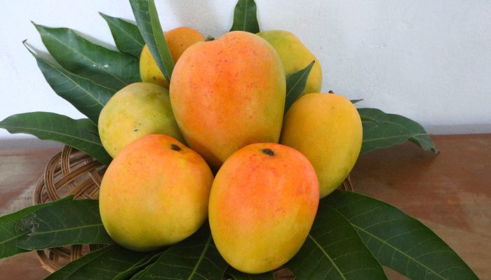 Lewat SIMPOK, Gedong Gincu Sumedang Tembus Pasar Eropa