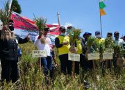 Kabupaten Batang Siap Jadi Sentra Bawang Putih Nasional