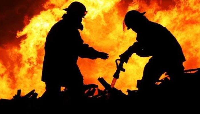 Kebakaran Hutan di Kalbar Hanguskan Belasan Ribu Hektare Lahan