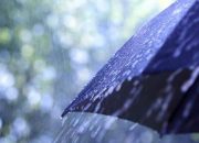 Musim Hujan, Waspada Penyebaran Leptospirosis, DBD dan Malaria