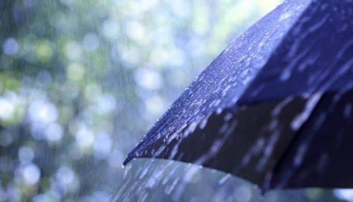 Musim Hujan, Waspada Penyebaran Leptospirosis, DBD dan Malaria