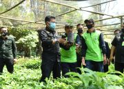 Mentan Syahrul Dorong Kabupaten Malang Jadi Penghasil Bibit Alpukat Berkualitas