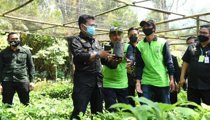 Mentan Syahrul Dorong Kabupaten Malang Jadi Penghasil Bibit Alpukat Berkualitas