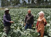 Rekrut Korban PHK, Pasar Tani Terus Pasok Kebutuhan Sayur Saat Pandemi