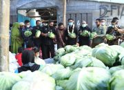 Dari Jatim, Mentan Syahrul Lepas Ekspor Kubis ke Taiwan