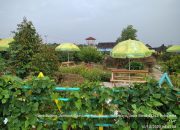 Percepat Pemulihan Ekonomi Nasional, Kementan Dorong Agroeduwisata