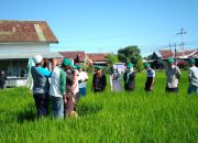 DPR Apresiasi Balitbangtan dalam Pendampingan Produksi Benih Padi Tahan Tungro