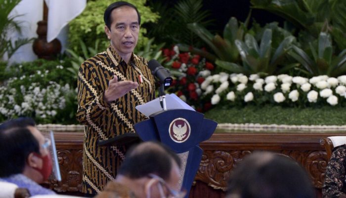 Jubir Istana Pastikan Presiden dan Seluruh Kabinet Menteri Tak Akan Mudik