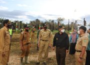 Pjs Gubernur Bahtiar, Minta Dukungan Pemda Kab Kota Penanaman 1 Miliar Pohon Buah Kelapa Di Kepri