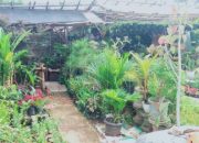 Peran Wanita Wirausaha Memulihkan Perekonomian Keluarga