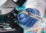 Corona Makin Jadi, WN India ‘Mudik’ ke Indonesia