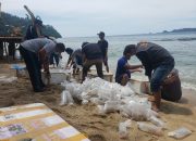 89 Ribu Benih Lobster Sitaan Dilepasliarkan