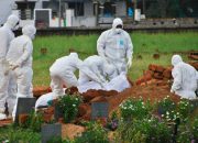 Waspada Virus Nipah Jadi Pandemi, Tingkat Kematian Capai 75%