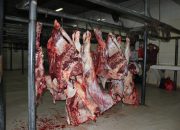 Kementan: Stok Daging Sapi dan Kerbau Masih Aman