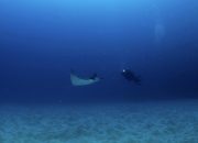 KKP Targetkan 800 Ribu Ha Kawasan Konservasi Perairan