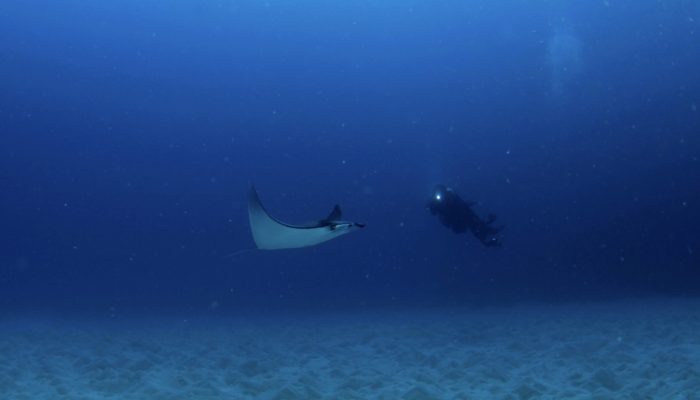 KKP Targetkan 800 Ribu Ha Kawasan Konservasi Perairan