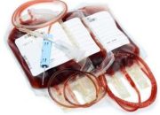 Kebijakan dan Kondisi Pelayanan Darah di Indonesia