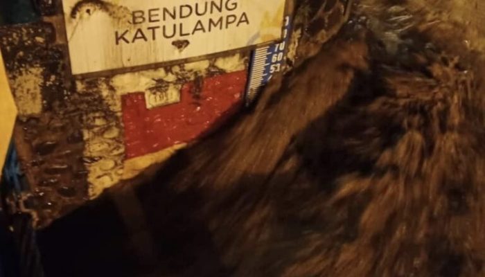 Hujan Deras Sejak Dini Hari, Bendungan Katulampa Bogor Siaga 3