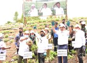 Pengembangan Food Estate di Humbahas, Menko Luhut: Hasilnya Menggembirakan
