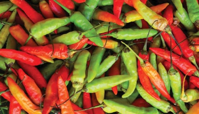 April, Harga Cabai Diprediksi Normal