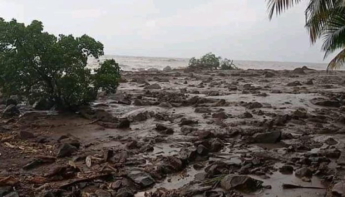 Update Bencana NTT: 124 Orang Meninggal, 74 Masih Hilang