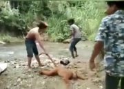 Viral! Bang Jago Siksa Satwa Langka di Sumbar