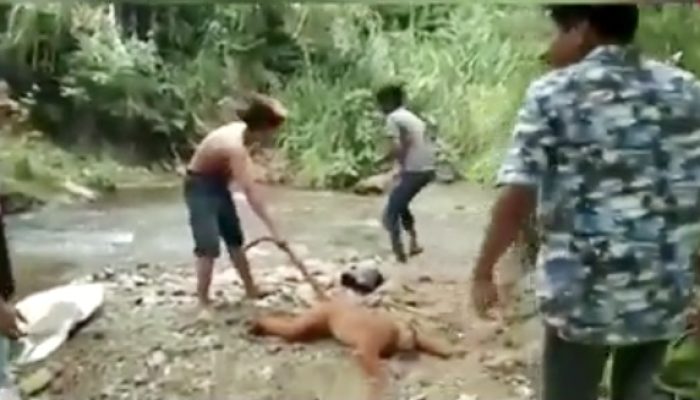 Viral! Bang Jago Siksa Satwa Langka di Sumbar