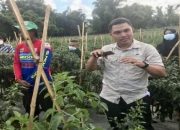 IPB: Kementan Punya Cara Cerdas Dalam Meningkatkan NTP NTUP