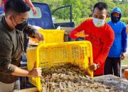 Udang Vaname dan Tuna Cakalang Laris di Pasar AS