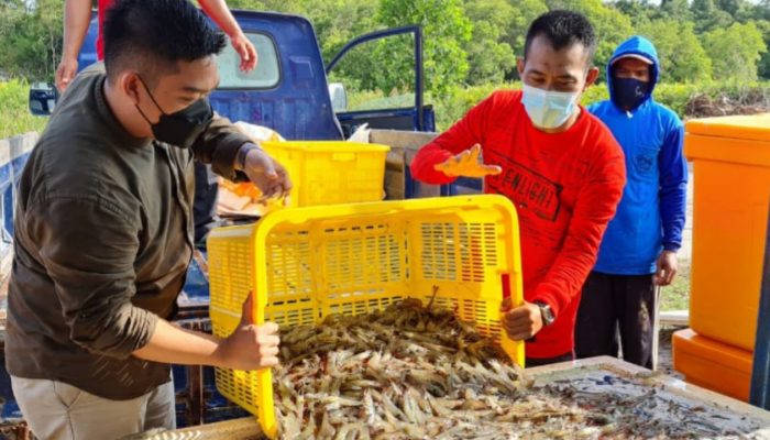 Udang Vaname dan Tuna Cakalang Laris di Pasar AS
