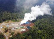 Begini Cara Pertamina Wujudkan Ekonomi Hijau