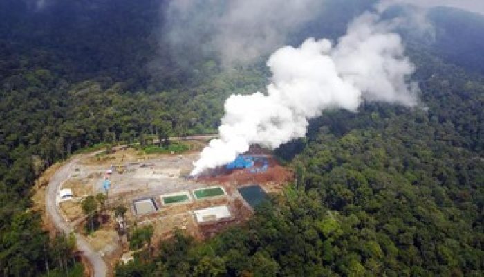 Begini Cara Pertamina Wujudkan Ekonomi Hijau