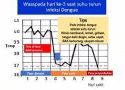 Ini Dia Perbedaan DBD dan Demam Pada Covid-19
