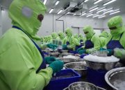 GMP Sertifikat Permudah Produk UMKM Tembus Pasar Global