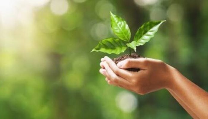 Dana Perbaikan Lingkungan Cair, Ini Nominalnya