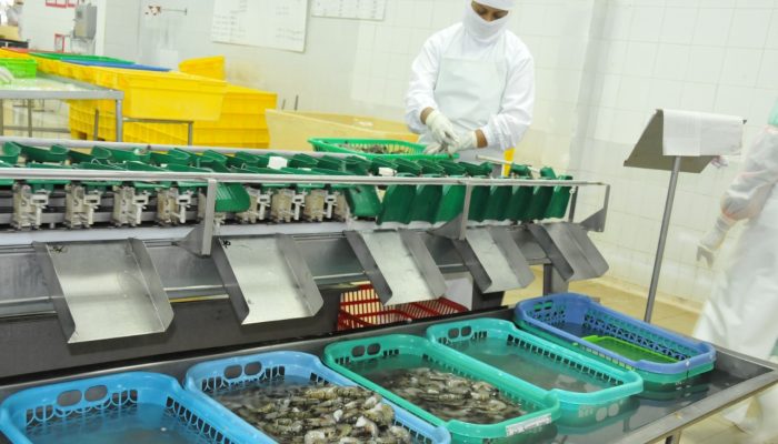 Permintaan Sektor KP Meningkat, Neraca Perdagangan Surplus Rp27 Triliun