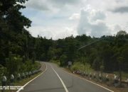 Pemerintah Percepat Pembangunan Infrastruktur Papua dan Papua Barat