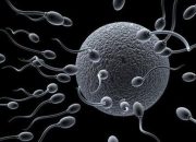 Cegah Covid-19, Wanita di Inggris Konsumsi Sperma