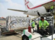 1,5 Juta Dosis Vaksin Sinopharm Tiba Di Tanah Air