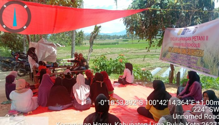 IPDMIP Bantu Petani Jorong Gantiang Nagari Taram Sumbar