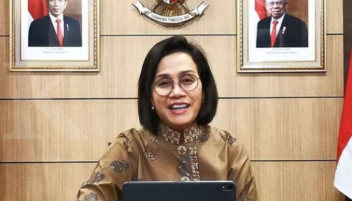 Menkeu Dorong Penyerapan Anggaran PEN di Daerah